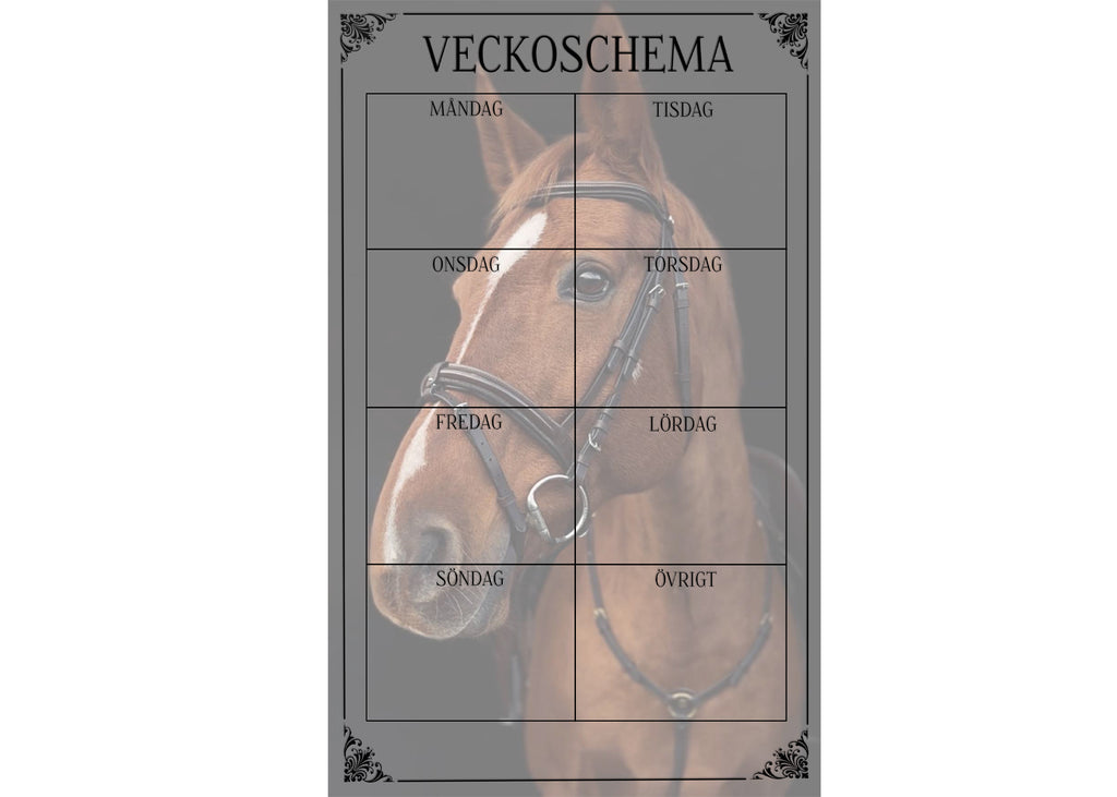 Veckoschema